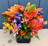 Fall Beauty 