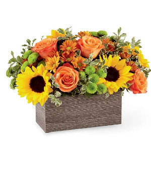 Fall Blooms - 00407 