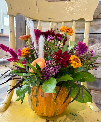 Fall Blooms In a Pumpkin 