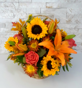 Fall Bounty 