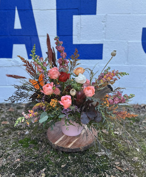 fall breeze  fall 