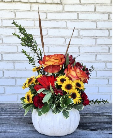 Pumpkin Greetings  in Crowley, TX | C & C FLORIST