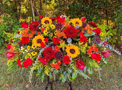 Fall Colors 