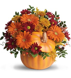 Fall Country Pumpkin  in Granger, IN | Yellow Rose Florist And Flower Basket