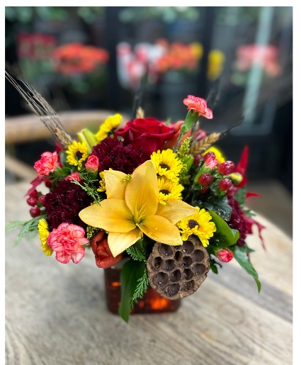 Fall Cube Arrangement  Cube