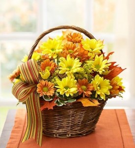 Fall Daisy Basket 