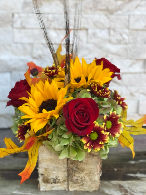 Fall Delight 