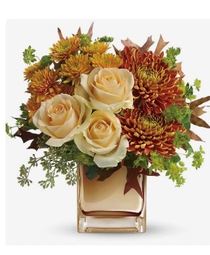 Fall Delight 