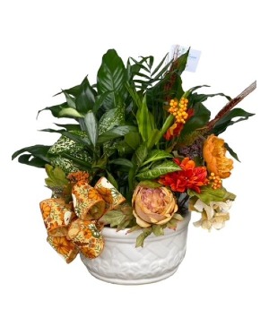 Fall Dish Garden 