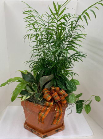 Fall Rustic Pot Dish-Garden Dish-Garden