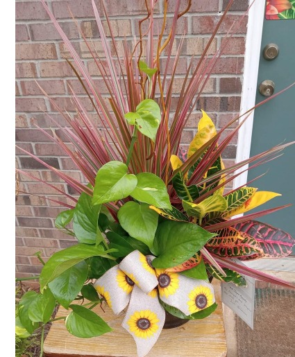 Fall Dish Garden  Plant
