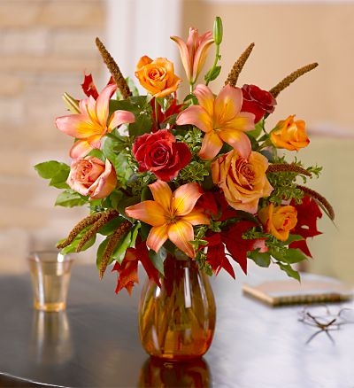 Fall Envy 