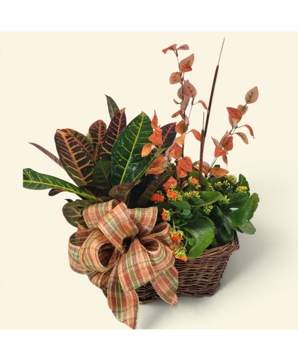 Fall Euro Plant Basket 