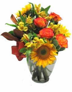 Fall Festival Cut Flowers
