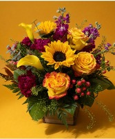 Fall festival Arrangement