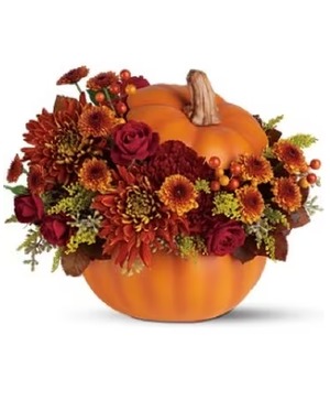 Fall Festival Pumpkin Orange Pumpkin