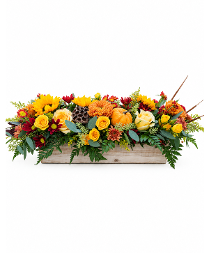 Fall Fields Arrangement