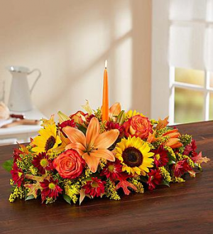 Fall Fields Centerpiece Fall
