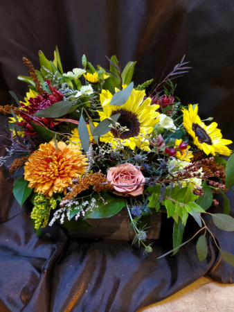 Fall flower mix crate or birch pot Medium loose compact