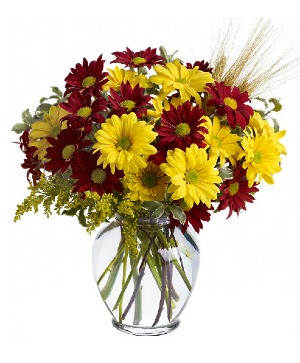 Fall For Daisies TFWEB446 Bouquet