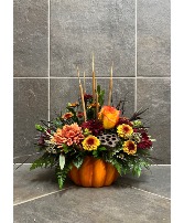 Fall Fun! 