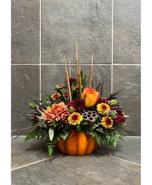 Fall Fun! 