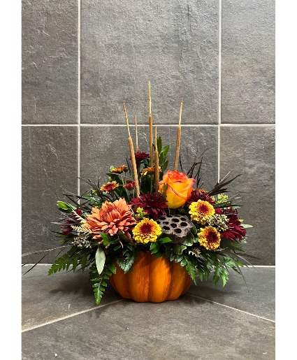 Fall Fun! 