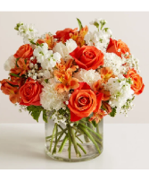 Orange Crush 