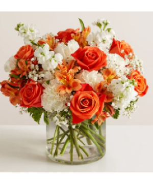 Orange Crush 