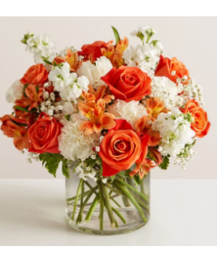 Orange Crush 