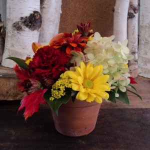 Fall Fusion Arrangement