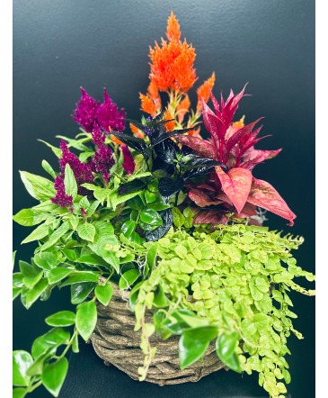Fall Fusion Basket Designer's Choice in Fenton, MI | FENTON FLOWERS & EVENTS