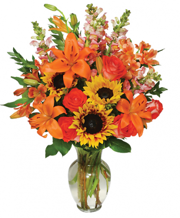 Fall Gala fall