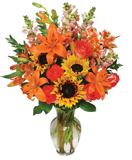 Fall Gala fall