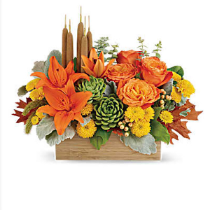 Fall Garden 