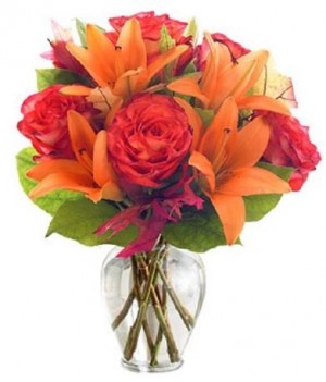 Orange You Glad! Florida Fabulous