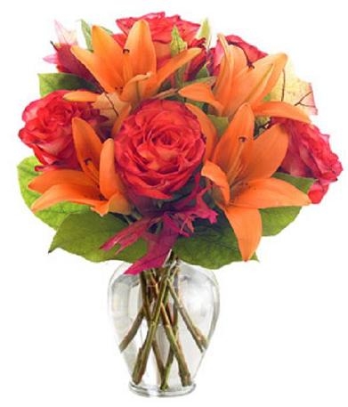Orange You Glad! Florida Fabulous