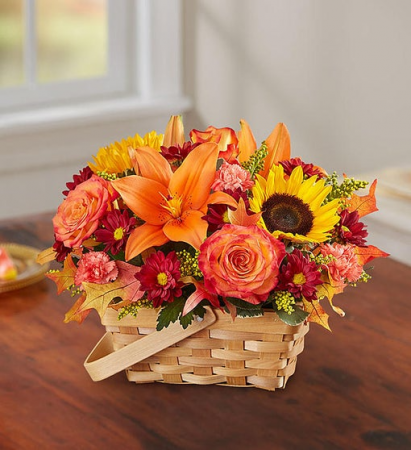 FALL IN A  BASKET  