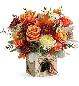 Fall in Bloom Fall Everyday