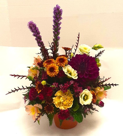 Fall Joy 