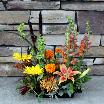 Autumn Arrival  Landscape Design Style