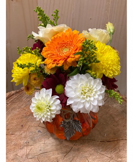 Fall Mini  