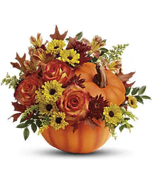 Fall Orange Pumpkin Fall