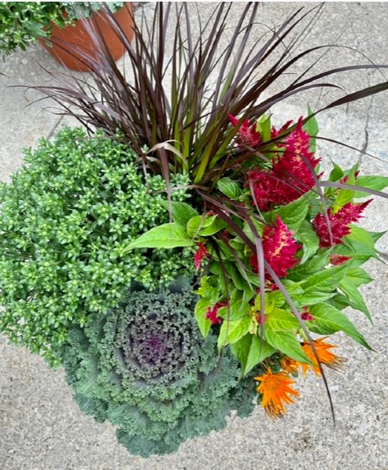 FALL PATIO POT  14 INCH