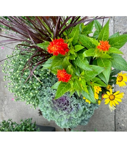 FALL PATIO POT  ROUND 14 INCH