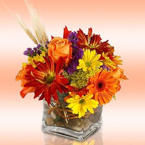 Fall Perfection Cube Arrangement
