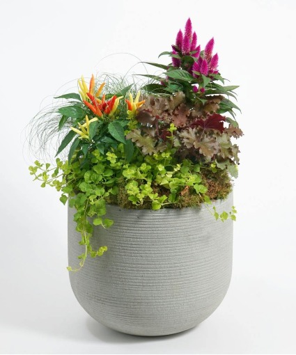 Fall Planters  