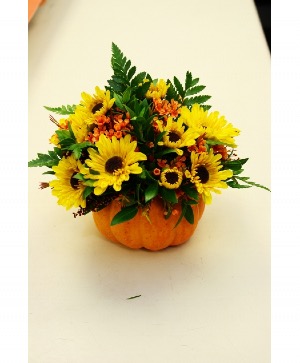 Pumpkin Love Fresh flowers 