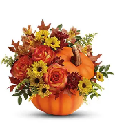 Fall pumpkin  Pumpkin 
