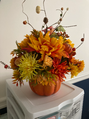 Fall Pumpkin Silk